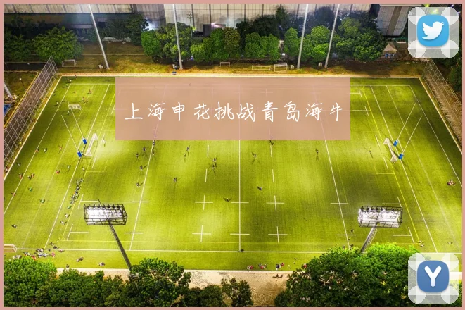 上海申花挑战青岛海牛